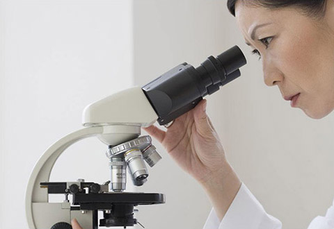 中国医药集团有限公司